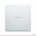 celona ap24 render